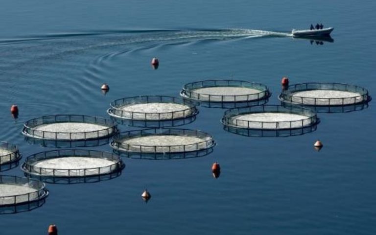 Παρέμβαση του Σωματείου Ιδιωτικών Υπαλλήλων Χίου στους εργαζόμενους των ιχθυοκαλλιεργειών ΝΗΡΕΑΣ