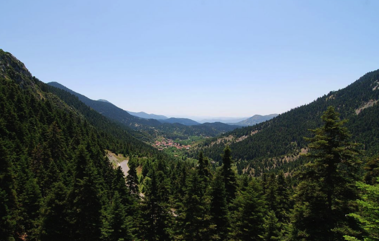 Παναρκαδικό Συνδικάτο Τεχνεργατών Οικοδόμων: 22 Μάρτη Όλοι στη συγκέντρωση των Επιτροπών Αγώνα για τη σωτηρία του Πάρνωνα και του Μαίναλου