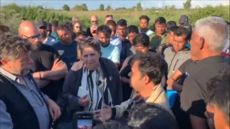 Πυρκαγιά στη Νέα Μανωλάδα Ηλείας – Άμεση παρουσία στελεχών των συνδικάτων στο σημείο της φωτιάς(BINTEO-ΦΩΤΟ)