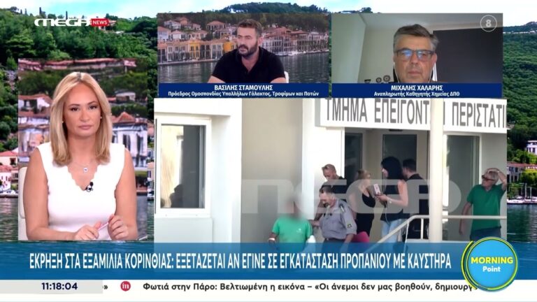 Παρέμβαση του Β.Σταμούλη προέδρου της Ομοσπονδίας Γάλακτος-Ποτών-Τροφίμων στο Mega News για το εργοδοτικό έγκλημα στην Κόρινθο